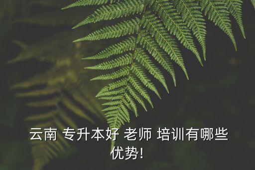  云南 專升本好 老師 培訓(xùn)有哪些優(yōu)勢!