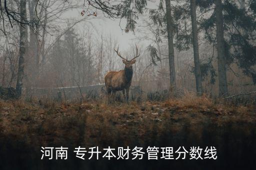  河南 專升本財務(wù)管理分數(shù)線