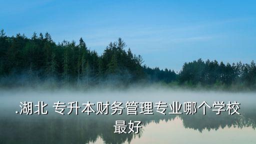 .湖北 專升本財務(wù)管理專業(yè)哪個學(xué)校最好