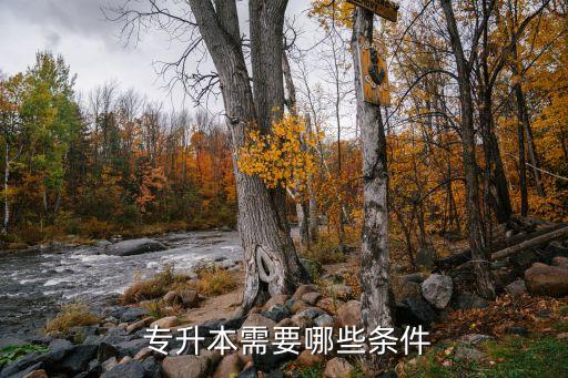  專升本需要哪些條件