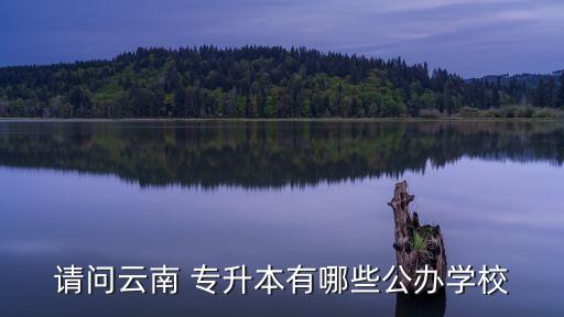 請問云南 專升本有哪些公辦學(xué)校
