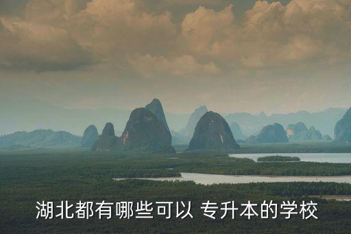  湖北都有哪些可以 專升本的學校
