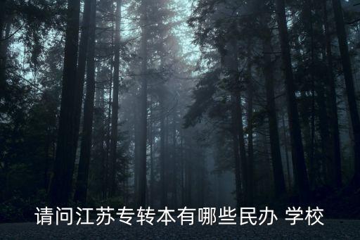請(qǐng)問江蘇專轉(zhuǎn)本有哪些民辦 學(xué)校