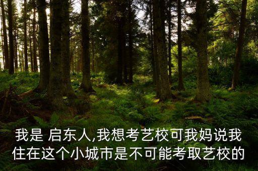 我是 啟東人,我想考藝?？晌覌屨f我住在這個小城市是不可能考取藝校的