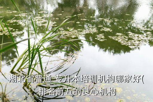 武漢民辦專升本學校排名,武漢專升本學校排名及分數(shù)線