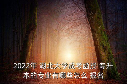 2022年 湖北大學成考函授 專升本的專業(yè)有哪些怎么 報名