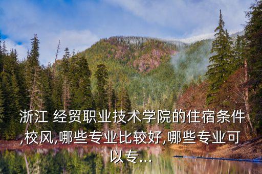  浙江 經(jīng)貿(mào)職業(yè)技術(shù)學院的住宿條件,校風,哪些專業(yè)比較好,哪些專業(yè)可以專...