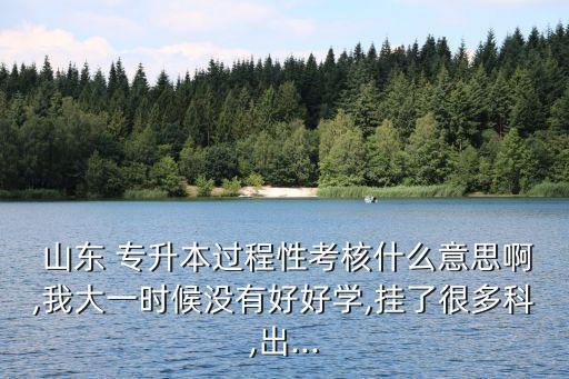  山東 專升本過(guò)程性考核什么意思啊,我大一時(shí)候沒(méi)有好好學(xué),掛了很多科,出...