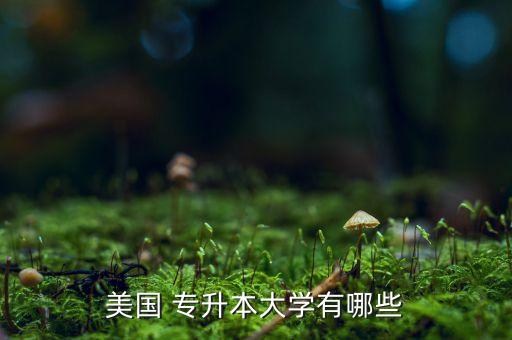 美國(guó) 專升本大學(xué)有哪些