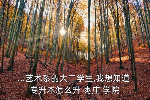 ...藝術(shù)系的大二學(xué)生,我想知道 專升本怎么升 棗莊 學(xué)院