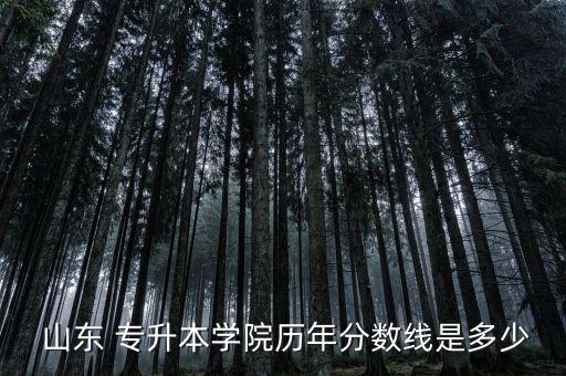  山東 專升本學(xué)院歷年分數(shù)線是多少