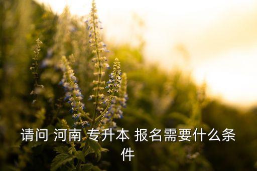 請問 河南 專升本 報(bào)名需要什么條件