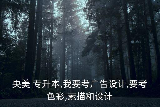 央美 專升本,我要考廣告設計,要考色彩,素描和設計