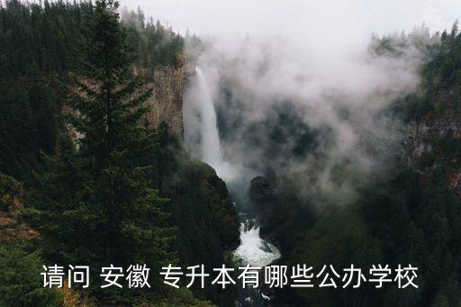 請(qǐng)問(wèn) 安徽 專升本有哪些公辦學(xué)校
