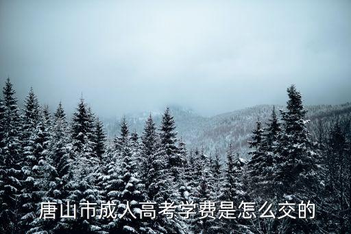 唐山市成人高考學費是怎么交的