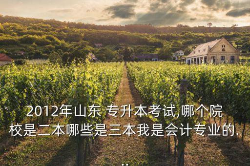 2012年山東 專升本考試,哪個(gè)院校是二本哪些是三本我是會(huì)計(jì)專業(yè)的...