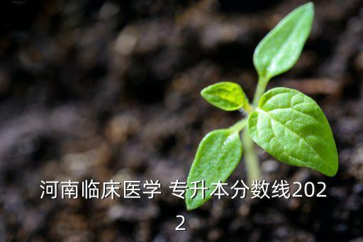  河南臨床醫(yī)學(xué) 專升本分?jǐn)?shù)線2022