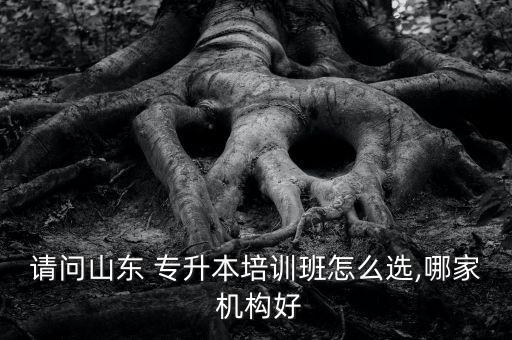 請問山東 專升本培訓班怎么選,哪家 機構(gòu)好
