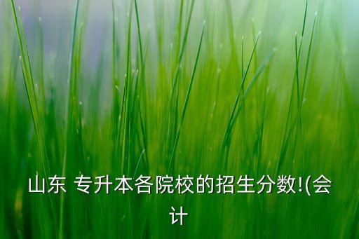 山東 專(zhuān)升本各院校的招生分?jǐn)?shù)!(會(huì)計(jì)