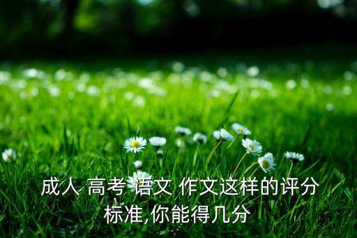  成人 高考 語文 作文這樣的評分標(biāo)準(zhǔn),你能得幾分