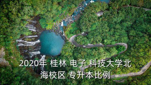 2020年 桂林 電子 科技大學(xué)北海校區(qū) 專(zhuān)升本比例