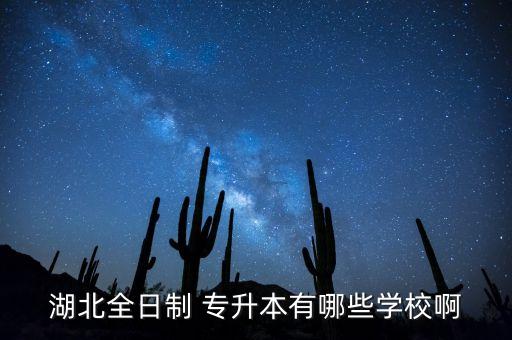 武漢工商學(xué)院2018專升本學(xué)費