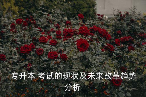  專升本 考試的現(xiàn)狀及未來(lái)改革趨勢(shì)分析