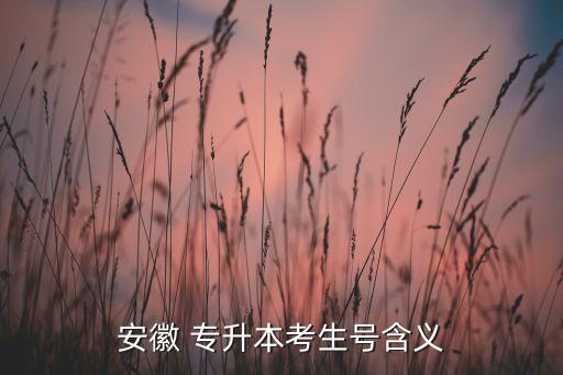 安徽 專升本考生號(hào)含義