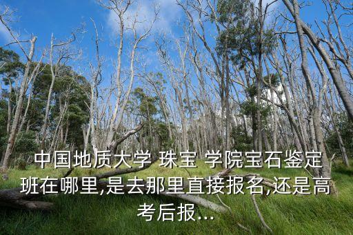  中國(guó)地質(zhì)大學(xué) 珠寶 學(xué)院寶石鑒定班在哪里,是去那里直接報(bào)名,還是高考后報(bào)...