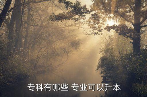  ?？朴心男?專業(yè)可以升本