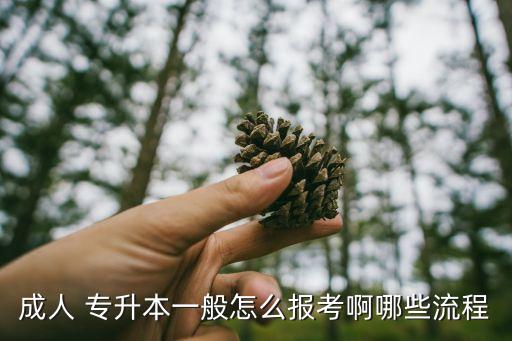 成人 專升本一般怎么報(bào)考啊哪些流程