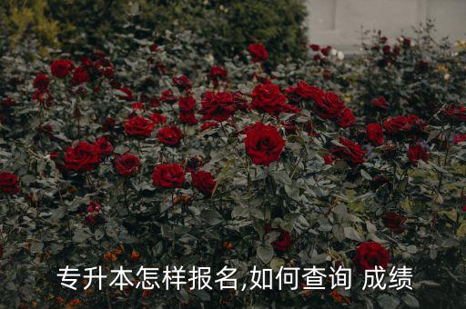  專升本怎樣報(bào)名,如何查詢 成績