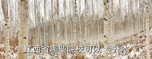  江西省哪些院?？梢?專升本
