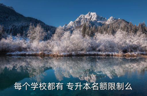 每個(gè)學(xué)校都有 專升本名額限制么