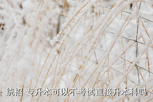統招 專升本可以不考試直接升本科嗎