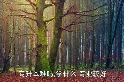 專(zhuān)升本哪個(gè)專(zhuān)業(yè)好過(guò)啊