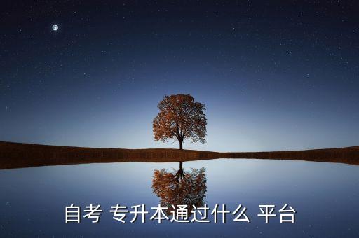 自考 專(zhuān)升本通過(guò)什么 平臺(tái)