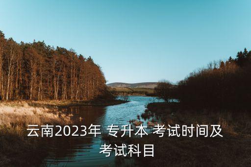 文學(xué)概論專升本考試,云南省文學(xué)概論專升本考試真題