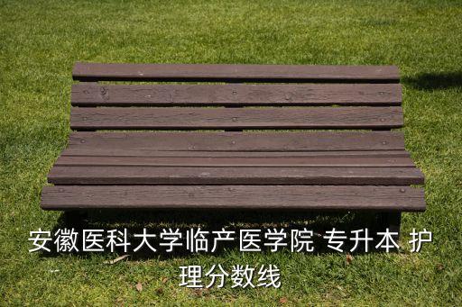 安徽醫(yī)科大學(xué)臨產(chǎn)醫(yī)學(xué)院 專升本 護理分數(shù)線