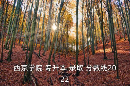 西京學院 專升本 錄取 分數(shù)線2022