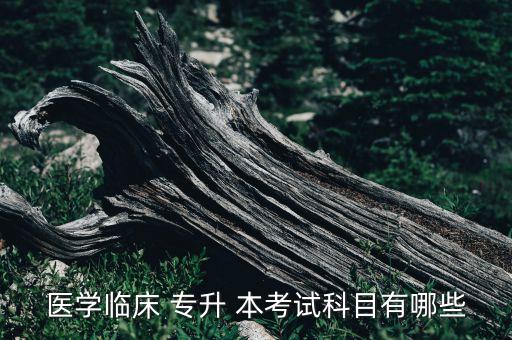 醫(yī)學(xué)臨床 專(zhuān)升 本考試科目有哪些