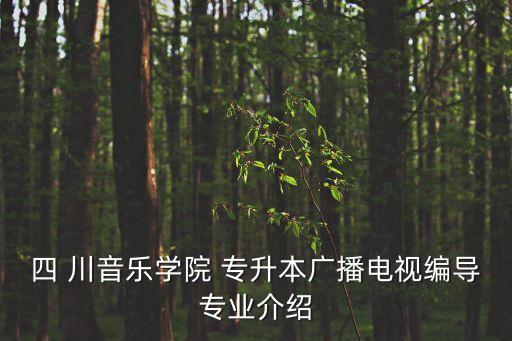 四 川音樂學院 專升本廣播電視編導專業(yè)介紹