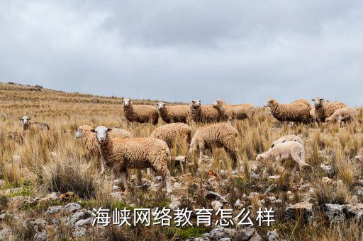  海峽網絡教育怎么樣