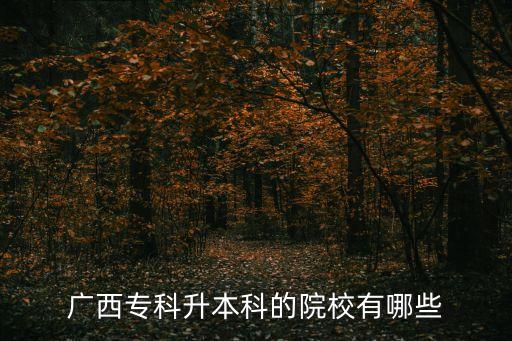 南寧統(tǒng)招專升本,統(tǒng)招專升本只有一次機(jī)會嗎