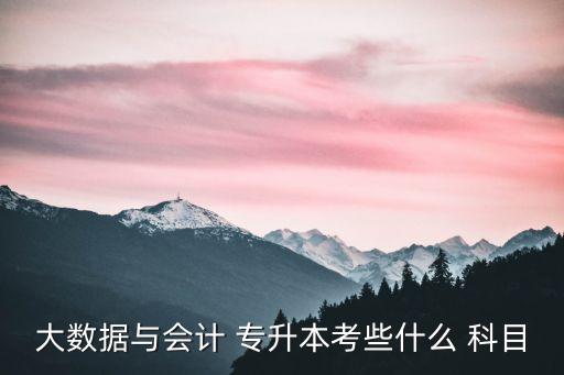 大數(shù)據(jù)與會計 專升本考些什么 科目