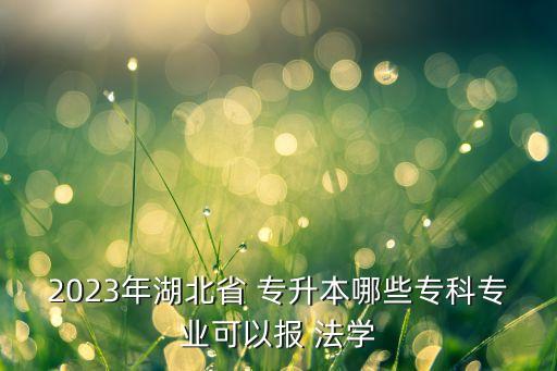 2023年湖北省 專(zhuān)升本哪些專(zhuān)科專(zhuān)業(yè)可以報(bào) 法學(xué)