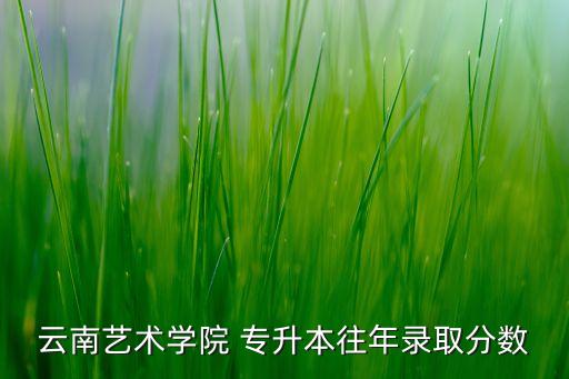 云南藝術學院 專升本往年錄取分數(shù)