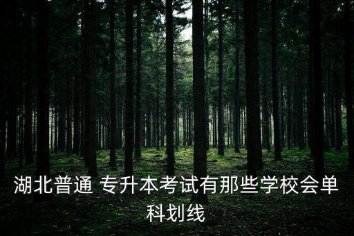 武昌理工學(xué)院專(zhuān)升本錄取分?jǐn)?shù)