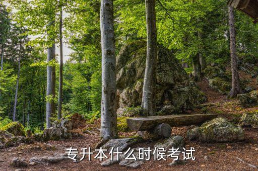  專(zhuān)升本什么時(shí)候考試