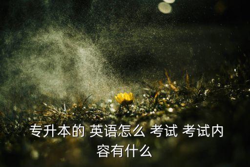 專升本2017年英語考試,2017河南專升本英語真題及答案